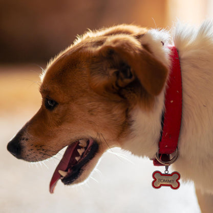 Targhetta Cane e Gatto personalizzata